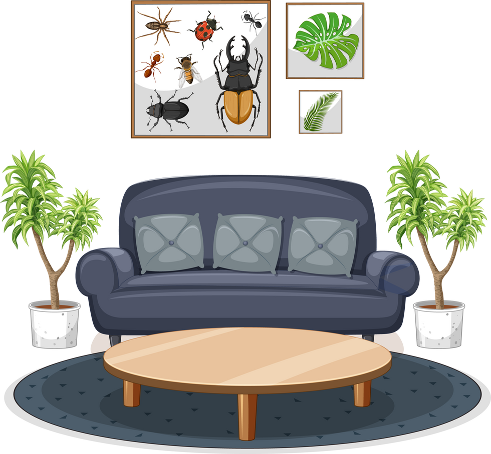 Living room furniture set on white background